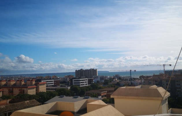 Apartment / flat - Sale - Palma - Nou Llevant