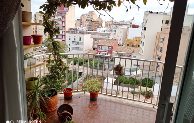 Apartment / flat - Sale - Palma -
                 Plaza de Toros