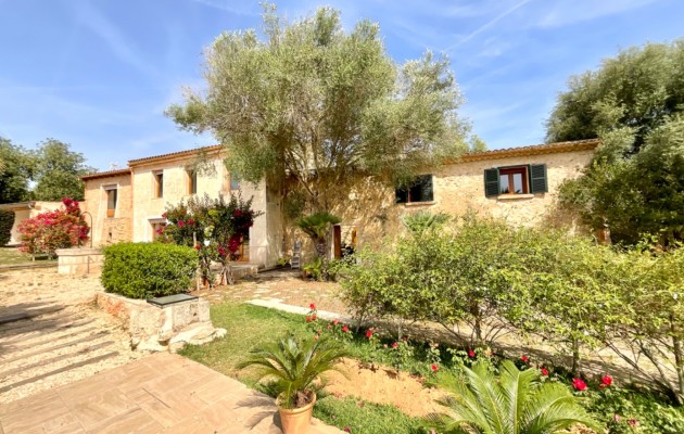 Chalet - Venta - Manacor - Manacor