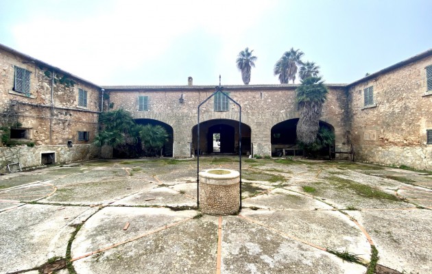 Great properties - Sale - Palma - Sant Jordi