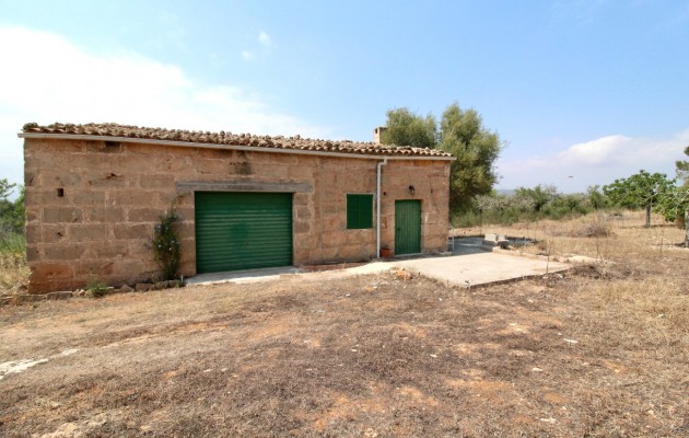 Parcela / Terreno - Venta - Palma -
                Sant Jordi