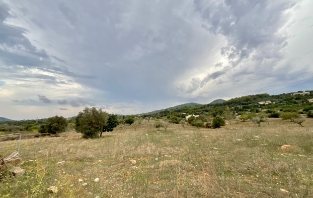 Parcela / Terreno - Venta - Son Servera - Son Servera