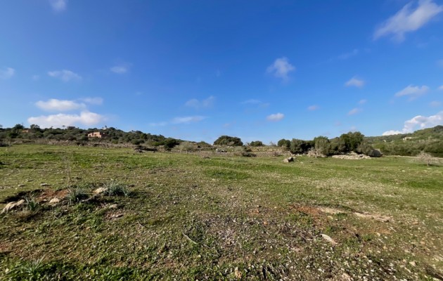 Parcela / Terreno - Venta - Son Servera - Son Servera