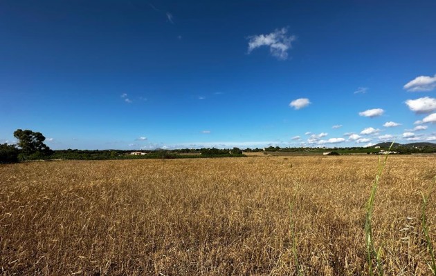 Plot / Land - Sale - Manacor - Manacor