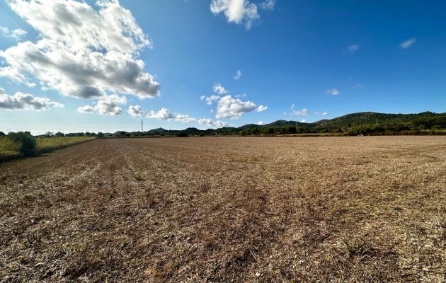 Plot / Land - Sale - Manacor - Manacor