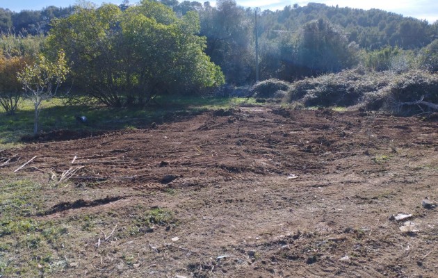 Plot / Land - Sale - Pollensa - Pollensa