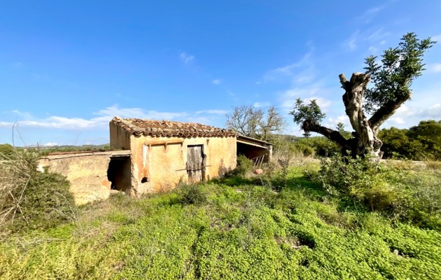 Plot / Land - Sale - Son Servera -
                Son Servera