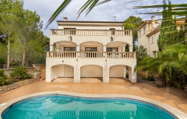 Stadthaus - Resale - Porto Cristo - Porto Cristo