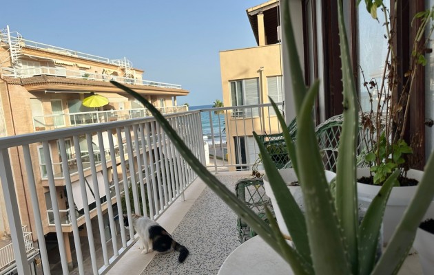 Wohnung - Resale - Cala Millor - Cala Millor