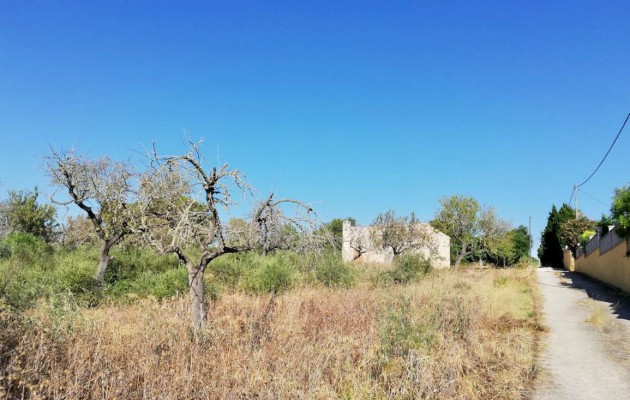 Sale - Plot / Land - Palma - Sant Jordi