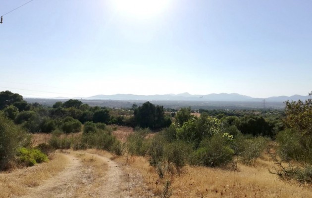 Sale - Plot / Land - Palma - Sant Jordi