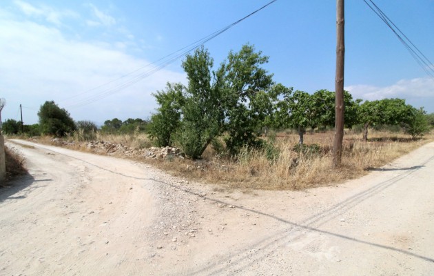Sale - Plot / Land - Palma - Sant Jordi