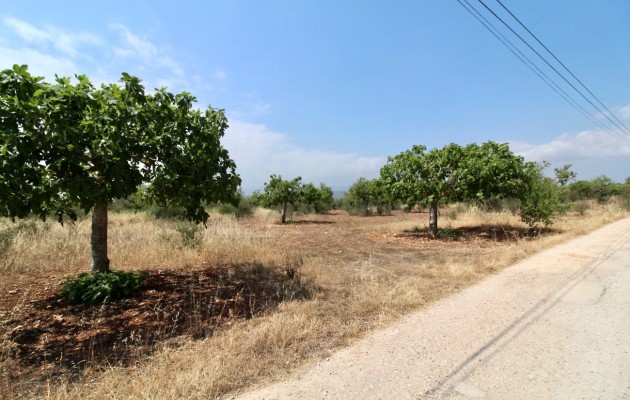 Sale - Plot / Land - Palma - Sant Jordi
