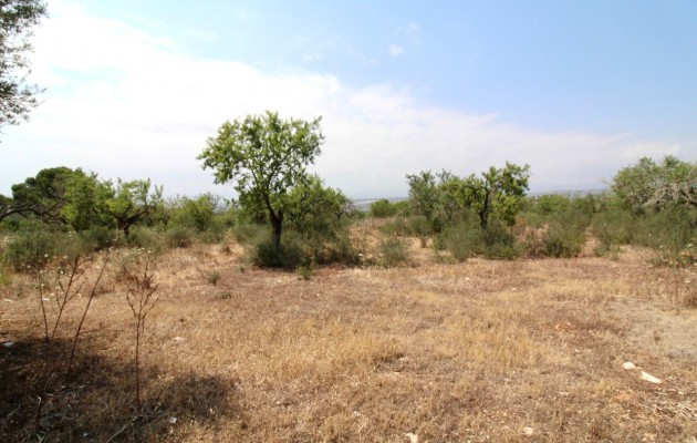 Sale - Plot / Land - Palma - Sant Jordi