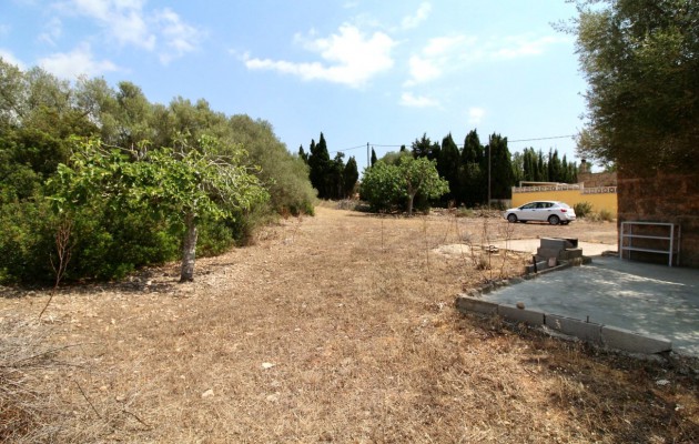 Sale - Plot / Land - Palma - Sant Jordi