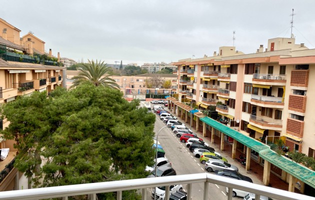 Sale - Apartment / flat - Palma -  Camp Redó