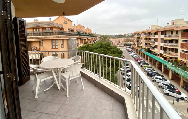 Sale - Apartment / flat - Palma -  Camp Redó