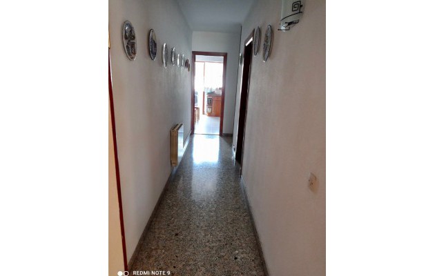 Venta - Apartamento / piso - Palma -  Plaza de Toros