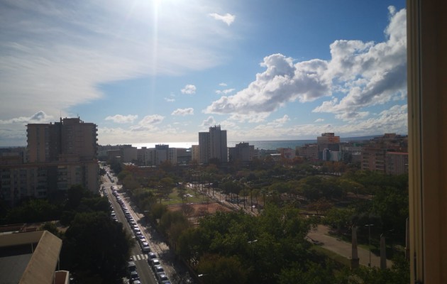 Venta - Apartamento / piso - Palma - Nou Llevant