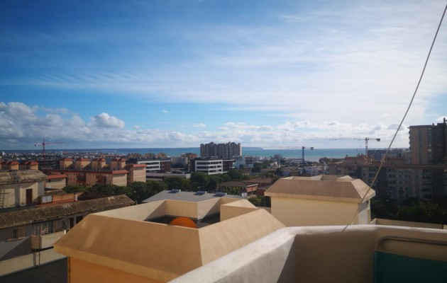Venta - Apartamento / piso - Palma - Nou Llevant