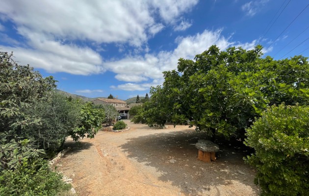 Resale - Vila - Sant Llorenç