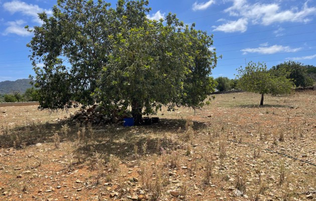 Resale - Vila - Sant Llorenç