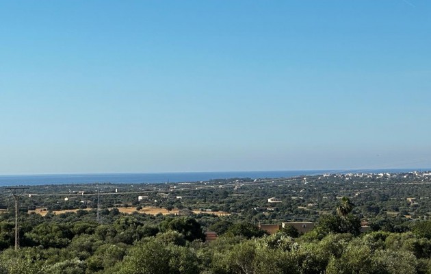 Sale - Vila - Son Servera