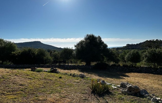 Sale - Vila - Son Servera