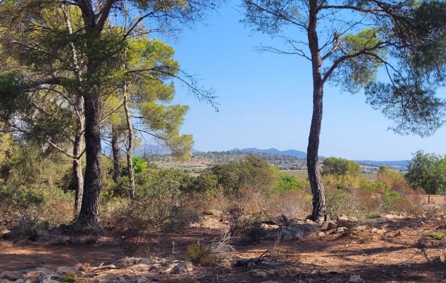 Sale - Plot / Land - Manacor