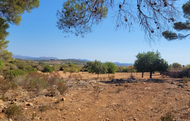 Sale - Plot / Land - Manacor