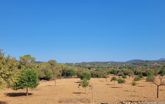 Sale - Plot / Land - Manacor