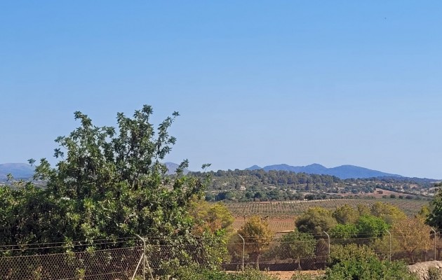 Sale - Plot / Land - Manacor