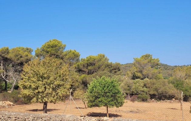 Sale - Plot / Land - Manacor