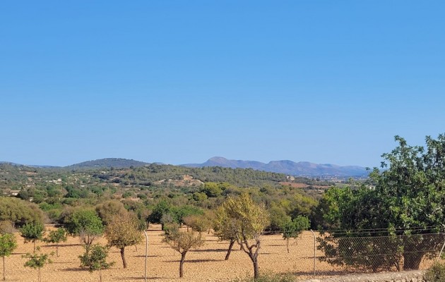 Sale - Plot / Land - Manacor