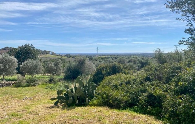 Sale - Vila - Son Servera