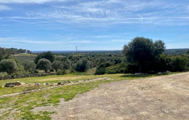 Sale - Vila - Son Servera