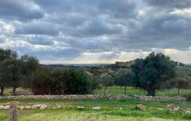 Sale - Vila - Son Servera