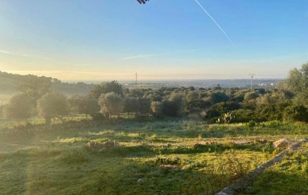 Sale - Vila - Son Servera