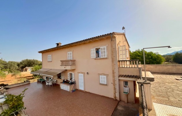 Sale - Vila - Felanitx