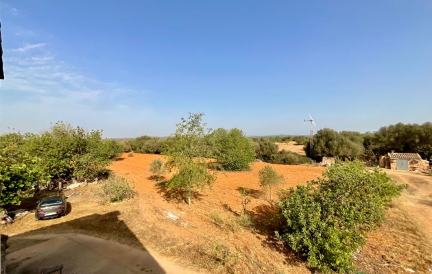 Sale - Vila - Felanitx