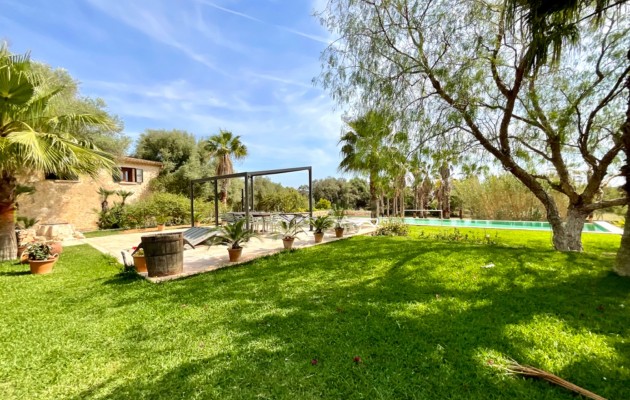 Resale - Vila - Manacor