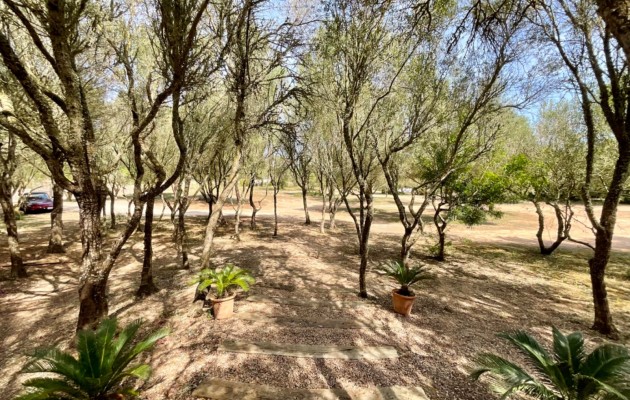 Resale - Vila - Manacor