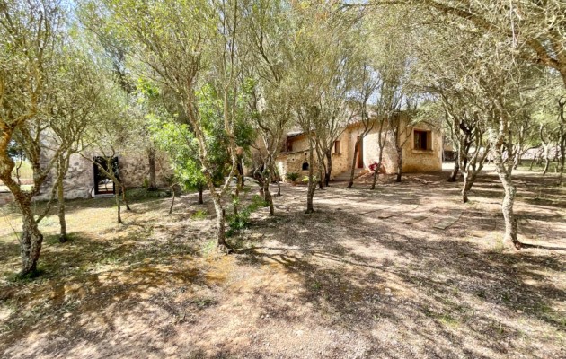 Resale - Vila - Manacor