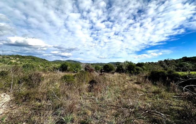 Venta - Parcela / Terreno - Son Servera