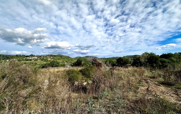 Venta - Parcela / Terreno - Son Servera