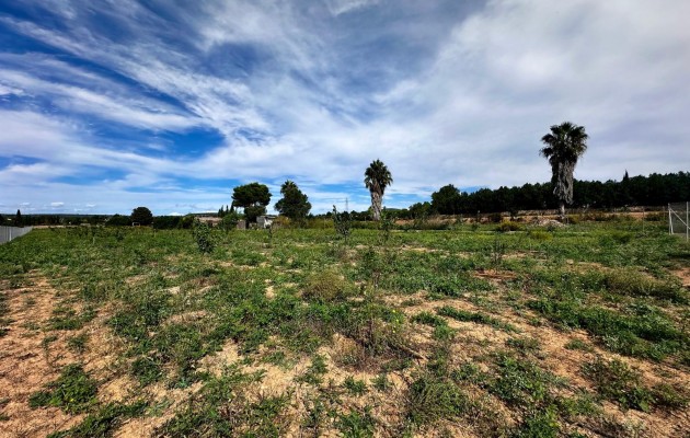 Venta - Parcela / Terreno - Manacor