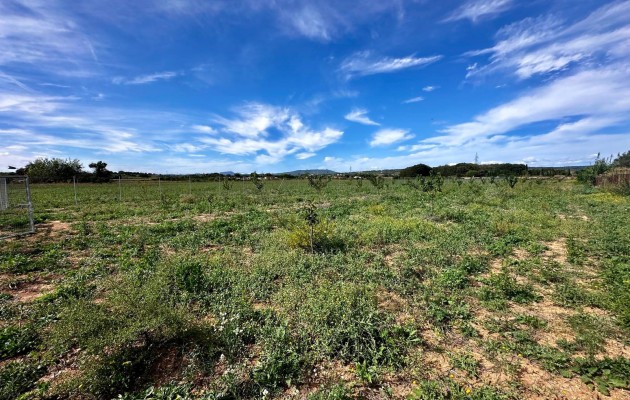 Venta - Parcela / Terreno - Manacor