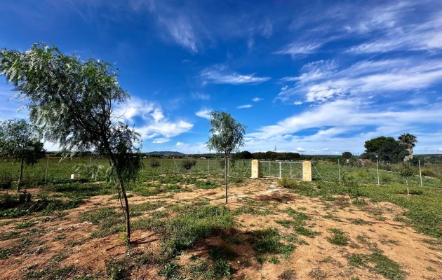 Venta - Parcela / Terreno - Manacor