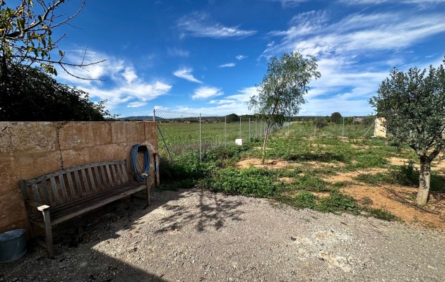 Venta - Parcela / Terreno - Manacor