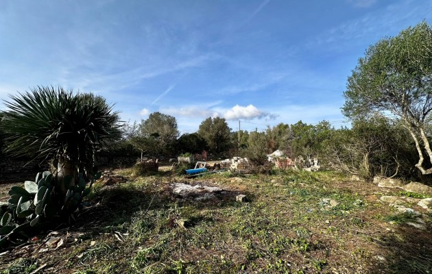 Venta - Parcela / Terreno - Artà